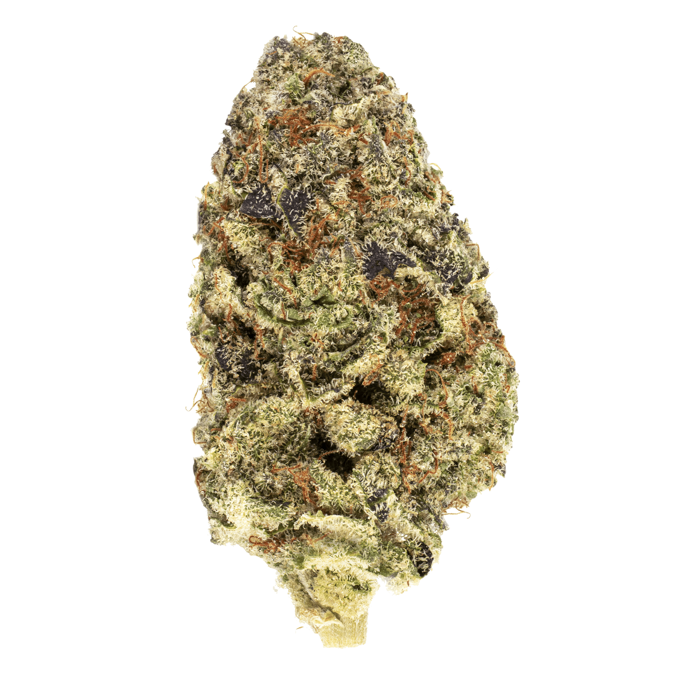 Flower Archives - Reef Organic Cannabis